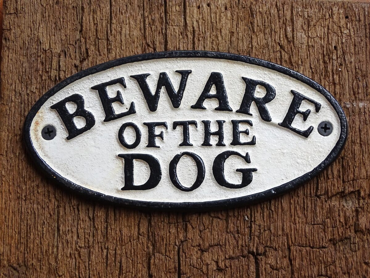 Ovales Schild aus Gusseisen - Beware of the Dog - Vintage Look