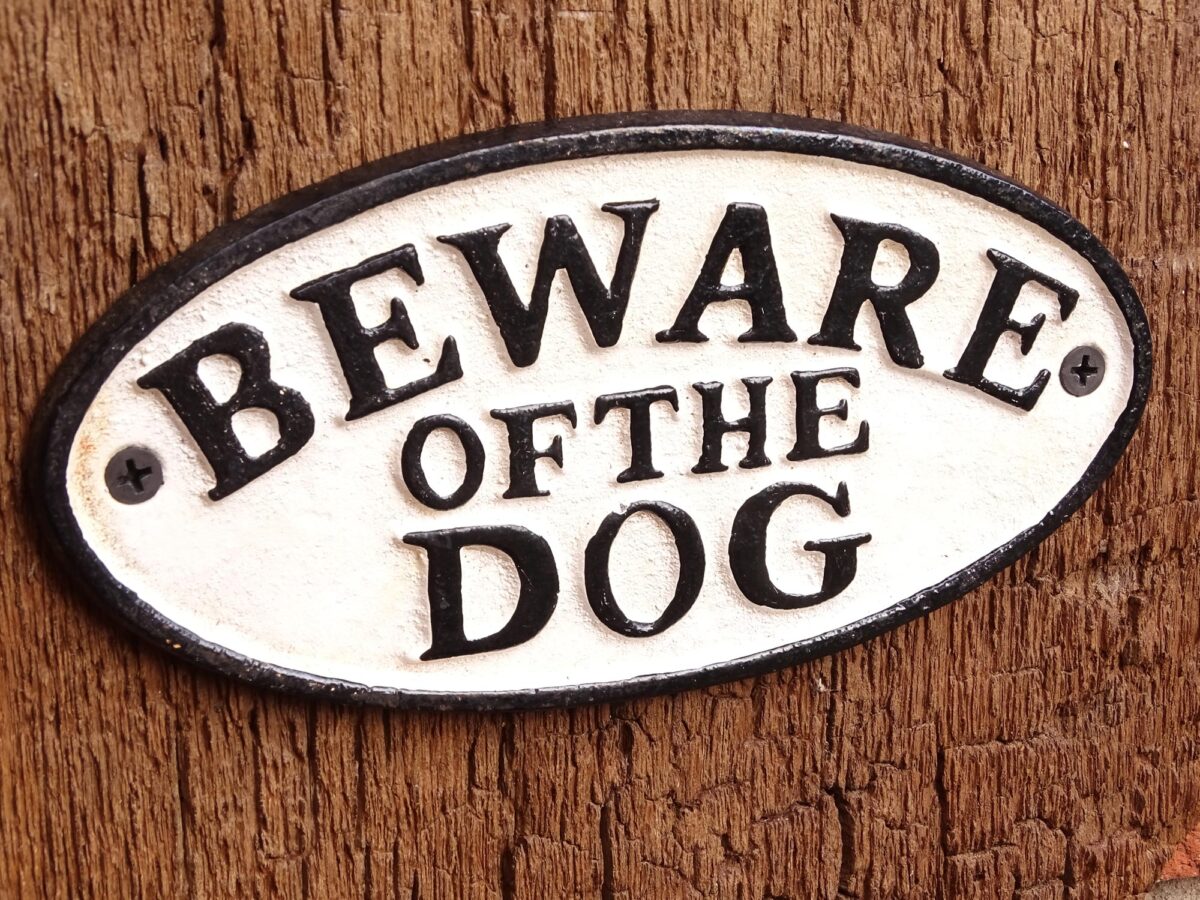 Ovales Schild aus Gusseisen - Beware of the Dog - Vintage Look